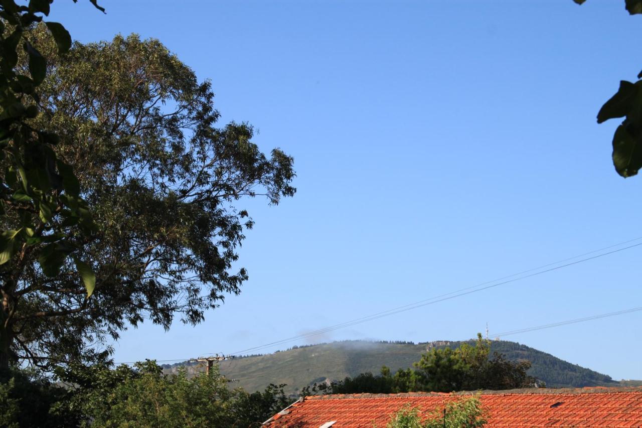 Apartamento Rural Zuri Cotorrio Exterior foto
